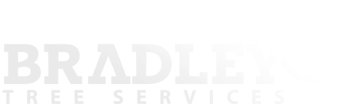 Bradley Tree Services Logo