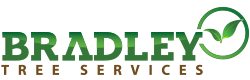Bradley Tree Services Logo